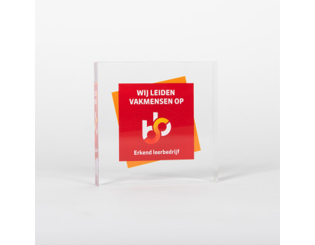 Plexiglas logoblok     130 x 130 x 25 mm met full colour opdruk